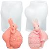 Augesak 2 Pezzi Stampi in Silicone Coniglio per Candele, Stampi in Silicone per Conigli Pasquali 3D, Stampi in Silicone per Colata di Pasqua, Stampo Silicone Coniglio per Candele in Gesso Sapone