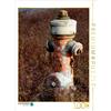 Calvendo Un motivo del calendario Nostalgie Hydranten 1000 Teile Puzzle hoch 480x640mm, CALVENDO; 7272323