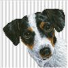 DIAMOND DOTZ - Quadro con diamanti Welpe