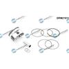DR.MOTOR AUTOMOTIVE DRM21611 Pistone per VW POLO (9N) Polo berlina (6R1, 6C1) Fox berlina (5Z1, 5Z3, 5Z4) e SKODA Fabia II berlina (542)