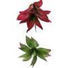 IMIKEYA Piccole piante grasse artificiali 2 pezzi, decorazione interna senza vaso, plastica realistica, imitazione di agave e sansevieria, decorazioni per la casa, l'ufficio e la stanza