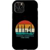 Funny Gifts For Fountain-Pen Collector Custodia per iPhone 11 Pro Inseguendo tramonti e pennini fini Collezionisti di penne stilografiche