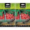 Semillas Batlle Battle - Semi Aromatici Fragole del Bosco (Semi - 20-25Cm) (Confezione da 2)