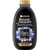 Garnier Botanic Therapy Magnetic Charcoal 400 ml