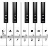 AIEX Adesivi per Tastiera Pianoforte per Tasti 88/61/54/49, Adesivi per Note Pianoforte Rimovibili e Trasparenti Lettere per Tastiera Piano per Principianti Bambini (Bianco e nero)