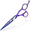 JASON Forbici professionali per capelli da 17,5 cm, in acciaio inox giapponese 440C, lama affilata, vite di serraggio regolabile, impugnatura ergonomica offset per parrucchieri e principianti, viola
