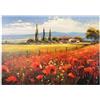 MyPuzzle.com MyPuzzle Campi Di Papaveri Nella Campagna Toscana - Premium 1000 Pezzi Puzzle - MyPuzzle Collezione speciale di Puzzle Galaxy