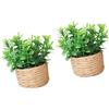 ASHLUYAK pianta in vaso, ornamento verde, decorazioni, C | Pianta in vaso in miniatura, Decorazione per case delle bambole, Bonsai artificiali, Decorazioni per la casa,