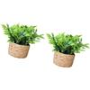 ASHLUYAK pianta in vaso, ornamento verde, decorazioni, E | Pianta in vaso in miniatura, Decorazione per case delle bambole, Bonsai artificiali, Decorazioni per la casa,