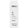 Framesi Morphosis Restructure Shampoo 250ml