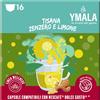 YMALA TISANA ZENZERO LIMONE 16 Capsule Compatibili Dolce Gusto®* | Senza Zuccheri e Glutine - Infuso 100% Foglia Pronto in Pochi Secondi - Effetto Depurativo - Gusto Inconfondibile