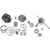 Generico Kit Gruppo Termico Cilindro DR 70cc + Albero Spalle Piene TOP Performances con cuscinetti compatibile con zip sp nrg mc2 mc3 power dd dt sr r factory motard street