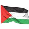 ELLENNE Bandiera Palestina 60x90 Palestinese, Piccola con doppie cuciture | Bandiera PALESTINESE, Nautica per Barca, Piccola, Resistente alle Intemperie, con Occhielli in Ottone, Doppia Cucitura