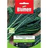 Blumen Cavolo Nero Palmizio Toscano