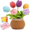 ENCHOL Kit per uncinetto per principianti, kit completo all'uncinetto, bouquet di fiori in vaso, fiori in vaso all'uncinetto, per la festa della mamma con tulipani colorati in vaso, kit all'uncinetto