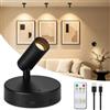 Dehobo Faretto LED Wireless Ricaricabile da 4000 mAh - Lampada da Parete Ricaricabile Per Interni con Timer e Tre Colori, Luminosità Regolabile - Rotazione a 350°, Adatta per Piante, Confezione da 1
