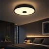 Horevo Lampada da Soffitto a LED Bagno con Bluetooth, 22cm, Nera | 18W, Telecomando, Impermeabile, Altoparlante Bluetooth, RGB+Regolazione, E27+Installazione Fissa, Utilizzo sul Balcone