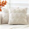 Artscope 2 Pezzi Halloween Federe in Lana Corta Velluto Copricuscini Morbido Decorativo autunnale Fodere per Cuscino Lusso Stile per Divano Camera da Letto Due Tipi di Zucca Beige 50x50 cm