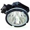 LampTek AH-62101 lampada per proiettore 250 W (Lamp for EIKI EIP-2600 Projector