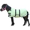 Gallopoff Coperta 300D Pony/Shetty per Cavalli, 150 g/m², Leggera, Calda, Impermeabile, Traspirante e Antistrappo, per Puledri, Mini Cavalli Nani
