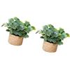 ASHLUYAK pianta in vaso, ornamento verde, decorazioni, B | Pianta in vaso in miniatura, Decorazione per case delle bambole, Bonsai artificiali, Decorazioni per la casa,