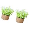 ASHLUYAK pianta in vaso, ornamento verde, decorazioni, D | Pianta in vaso in miniatura, Decorazione per case delle bambole, Bonsai artificiali, Decorazioni per la casa,