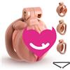 SuperLove Sissy Realistic Inverted Chastity Cage Skin