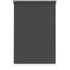 Gardinia Seitenzug-Rollo LICHTDURCHLÄSSIG 820 Uni grau 52 x 180 cm