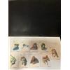 NESSUNA MARCA Final Fantasy VII VIII Trading Cards Set Coca-Cola Edition 18 pezzi Cloud Squall