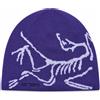 Arc'Teryx Cappello Bird Head Toque Blurple/Kasumi