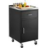VEVOR Mobiletto Cassetto Piano in Acciaio Inox 304 per Isola Cucina Esterno 585 x 508 x 942 mm, con 4 Ruote, Postazione per Utensili da Cucina, da Bar in Cortile, Carrello per Organizzazione Accessori