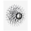 SRAM Cassetta SRAM PG-1170 11-28 11V