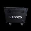 wisdom Testa mobile motorizzata sfera a specchi rotante ideale per discoteche DJ feste
