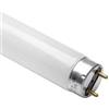 OSRAM Fluorescent lamp Spectralux®Plus NL-T8 30W/865/G13
