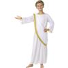 Pegasus Costume Travestimento Virgilio Bambino di Carnevale (11/12 ANNI)