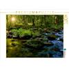 Calvendo - Un ruscello nell'Harz, puzzle da 1000 pezzi, formato orizzontale 640x480 mm, Gierok Steffen; 7308960