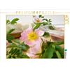 Calvendo Tè da bagno con rose selvatiche 1000 pezzi puzzle paesaggio 640x480mm, Rau Heike; 7392935
