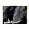 Calvendo elefante africano 1000 pezzi puzzle paesaggio 640x480mm, e Holger Karius Kirsten; 7286128