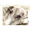 Calvendo Un motivo dal calendario Galgo occhio 1000 pezzi puzzle paesaggio 640x480mm, - Andrea Redecker 4pfoten-desi; 7366731
