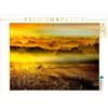 Calvendo Pecore al pascolo all'alba 1000 pezzi puzzle paesaggio 640x480mm, Roder Peter; 7413737