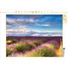 Calvendo Campi di lavanda sull'altopiano di Valensole in estate Puzzle da 1000 pezzi paesaggio 640x480mm, Schonnop Juergen; 7303847