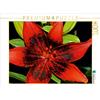 Calvendo London Heart 1000 pezzi puzzle paesaggio 640x480mm, Günther Geiger; 7283745