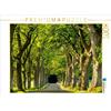 Calvendo Rügens Alleen 1000 pezzi puzzle paesaggio 640x480mm, Fotografia con passione No; 7453477