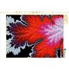 Calvendo frozen leaf 1000 pezzi puzzle paesaggio 640x480mm, Fischer Michael; 7454919
