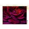 Calvendo Gothic Rose - Sigillato con il sangue, puzzle da 1000 pezzi, formato orizzontale 640x480 mm, Cross Martina; 7302300