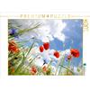 Calvendo Vista attraverso il campo di papaveri verso il cielo 1000 pezzi puzzle paesaggio 640x480mm, Frost Anja; 7295428