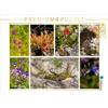 Calvendo "Nostalgia della Norvegia" - Una flora variegata in tutti i paesaggi, puzzle da 2000 pezzi, formato orizzontale 900x670 mm, Sattler Stefan; 7405168