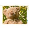 Calvendo Adorabile orso coccolone. puzzle da 1000 pezzi 640x480mm, Bölts Meike; 7439471