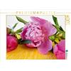 Calvendo Peonie - Un motivo del calendario Momenti di pausa 1000 pezzi puzzle paesaggio 640x480mm, Rau Heike; 7392943