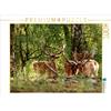 Calvendo Daino 1000 pezzi puzzle paesaggio 640x480mm, Klatt Arno; 7292563